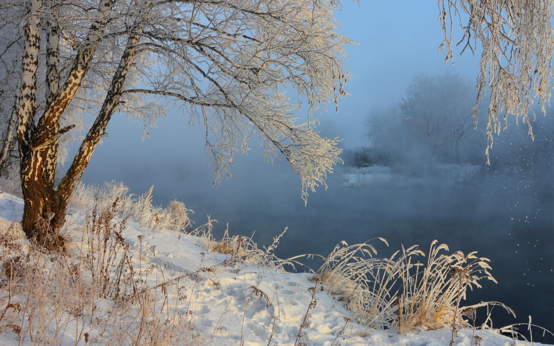 rivers ponds and streams winter snow tree frost cold wood landscape nature season weather frozen ice branch dawn fair weather outdoors scene fog scenic