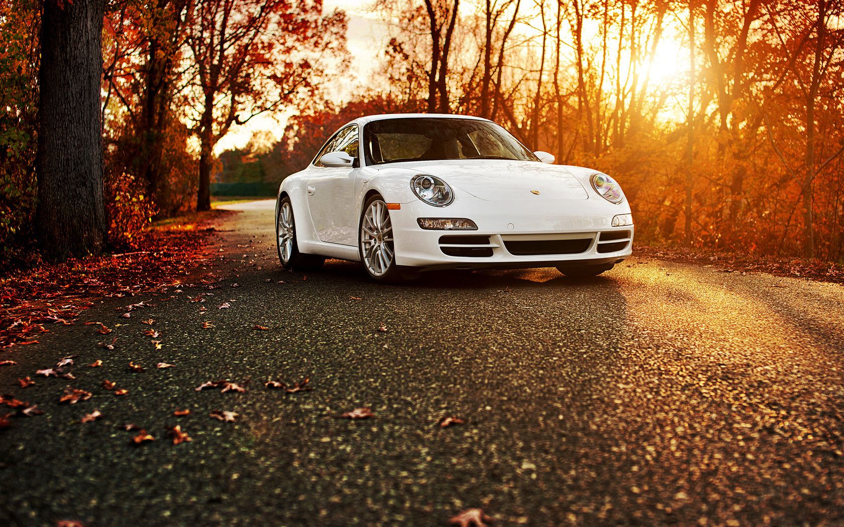 voitures de sport voiture trottoir asphalte route noir voiture automne dépêchez-vous