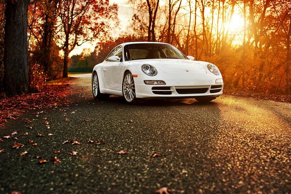 White sports car on the autumn road