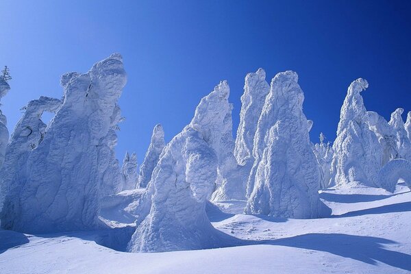 Schneebedeckte Bäume und strahlend blauer Himmel