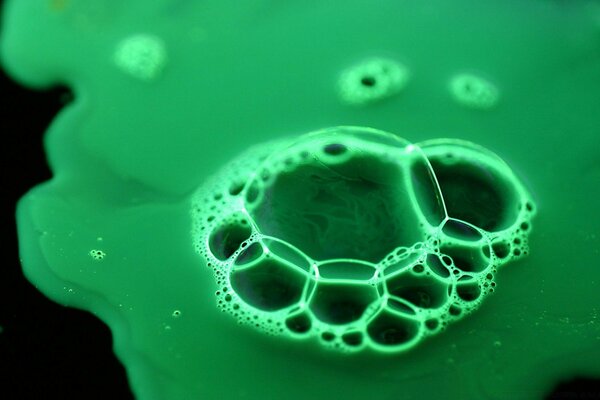 Green bubbles on the water