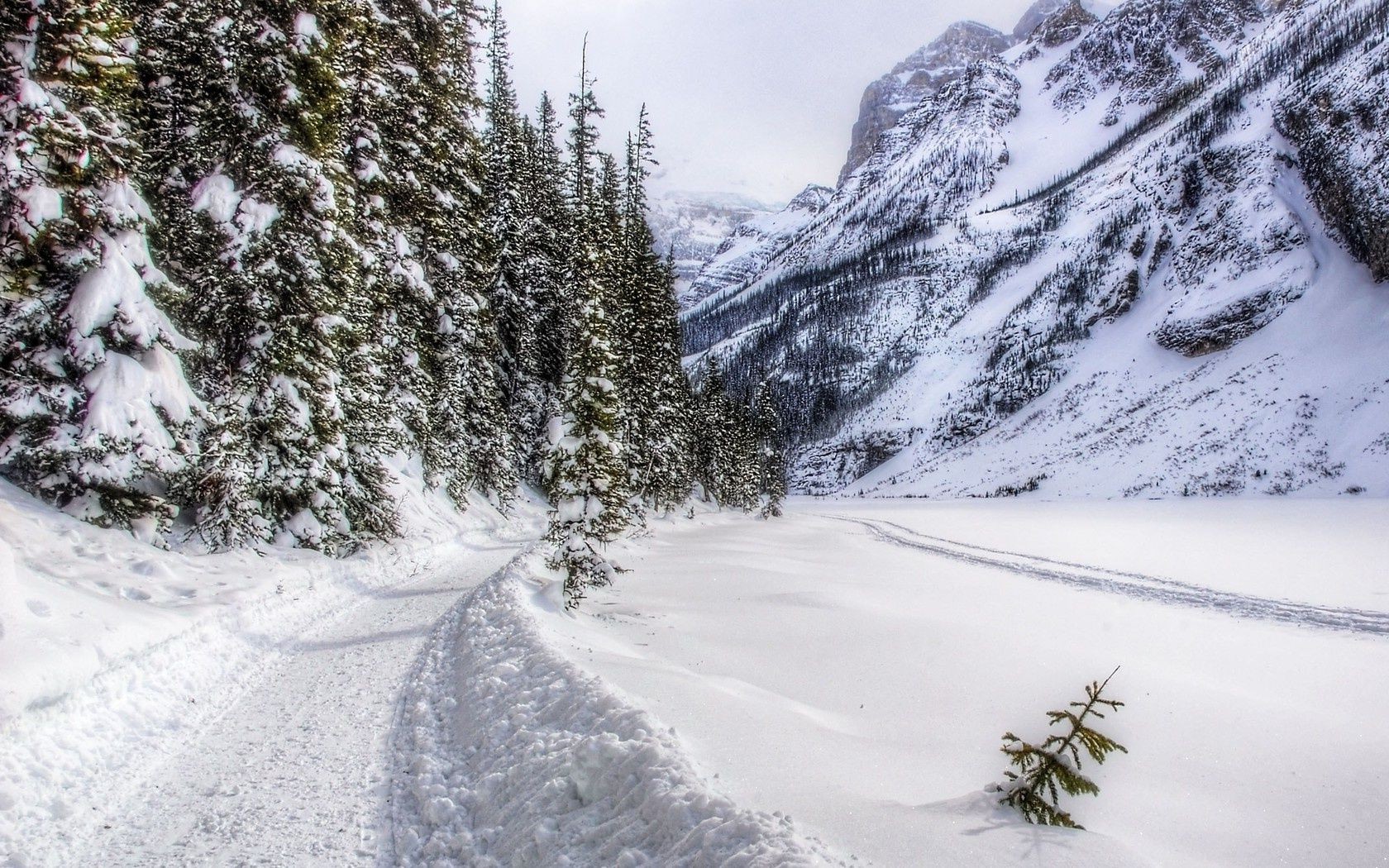 invierno nieve montaña frío paisaje madera escarcha escénico hielo árbol temporada congelado naturaleza colina nevado pista tiempo