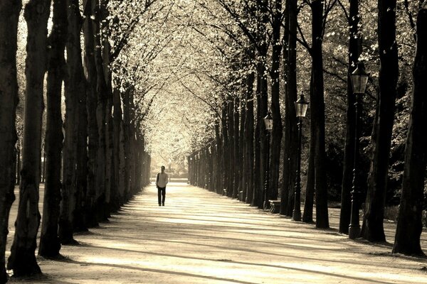 Einsamer Mann auf dem Weg im Park