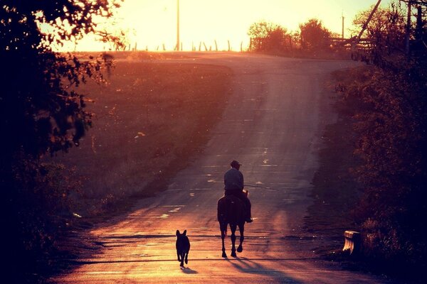 Ein Reiter auf einem Pferd und ein Hund gehen die Straße entlang