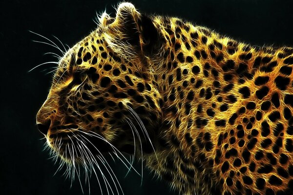 Leopard computer graphics on a black background