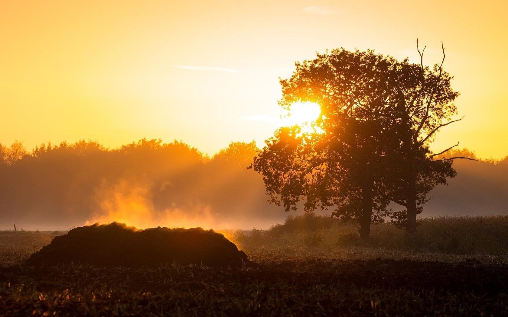 coucher du soleil et l aube coucher de soleil aube soleil paysage soirée silhouette nature rétro-éclairé ciel brouillard arbre crépuscule beau temps à l extérieur lumière brouillard