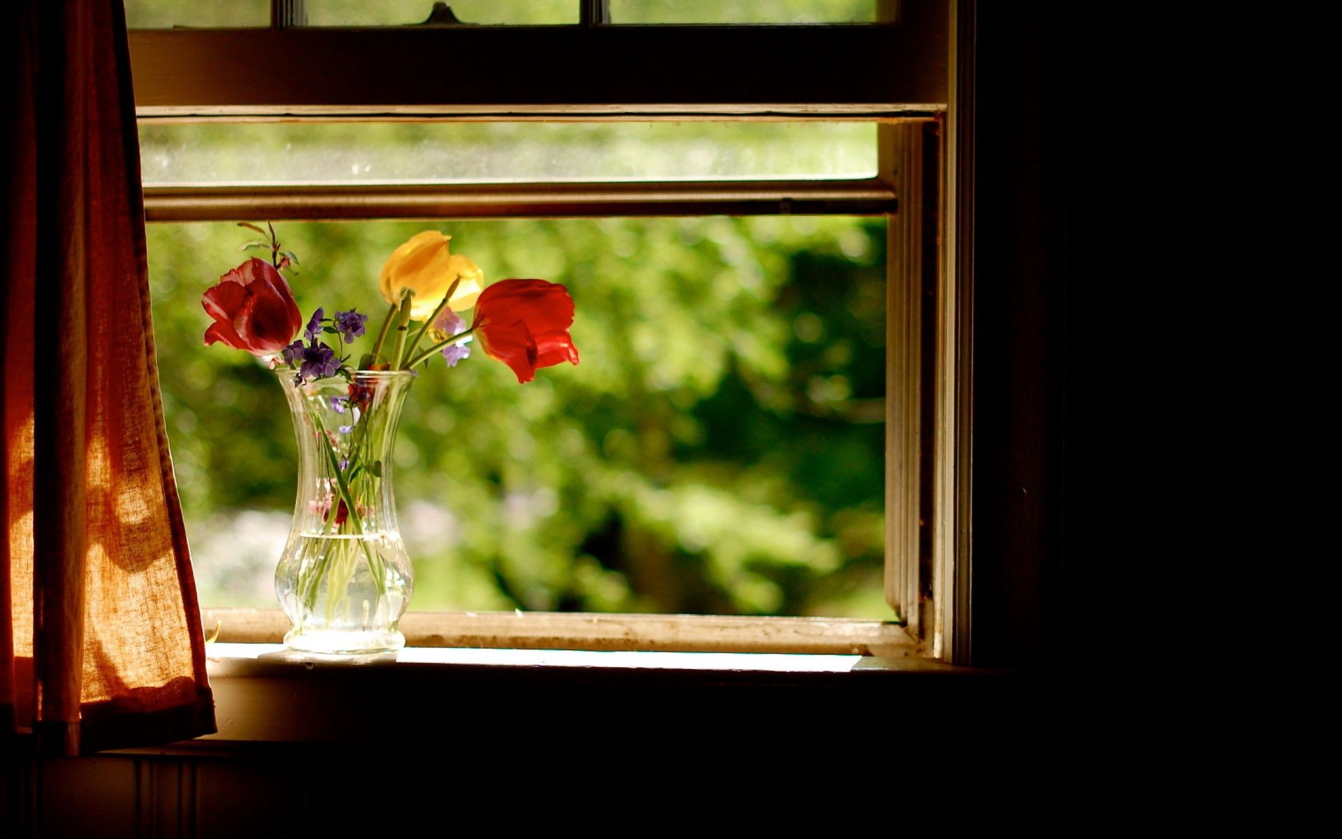 fleurs fenêtre bois fleur à l intérieur maison famille meubles décoration cadre photo chambre