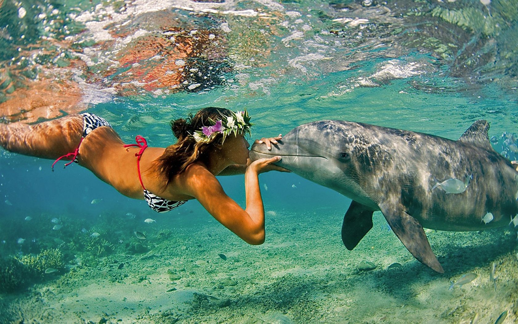 amor e romance debaixo d água água natação oceano mar mergulho snorkeling natureza verão tropical peixes diversão molhado esportes aquáticos férias viagens férias férias turquesa