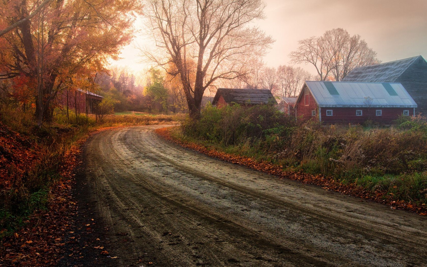 the sunset and sunrise road landscape tree dawn fall outdoors nature sunset travel wood guidance light evening