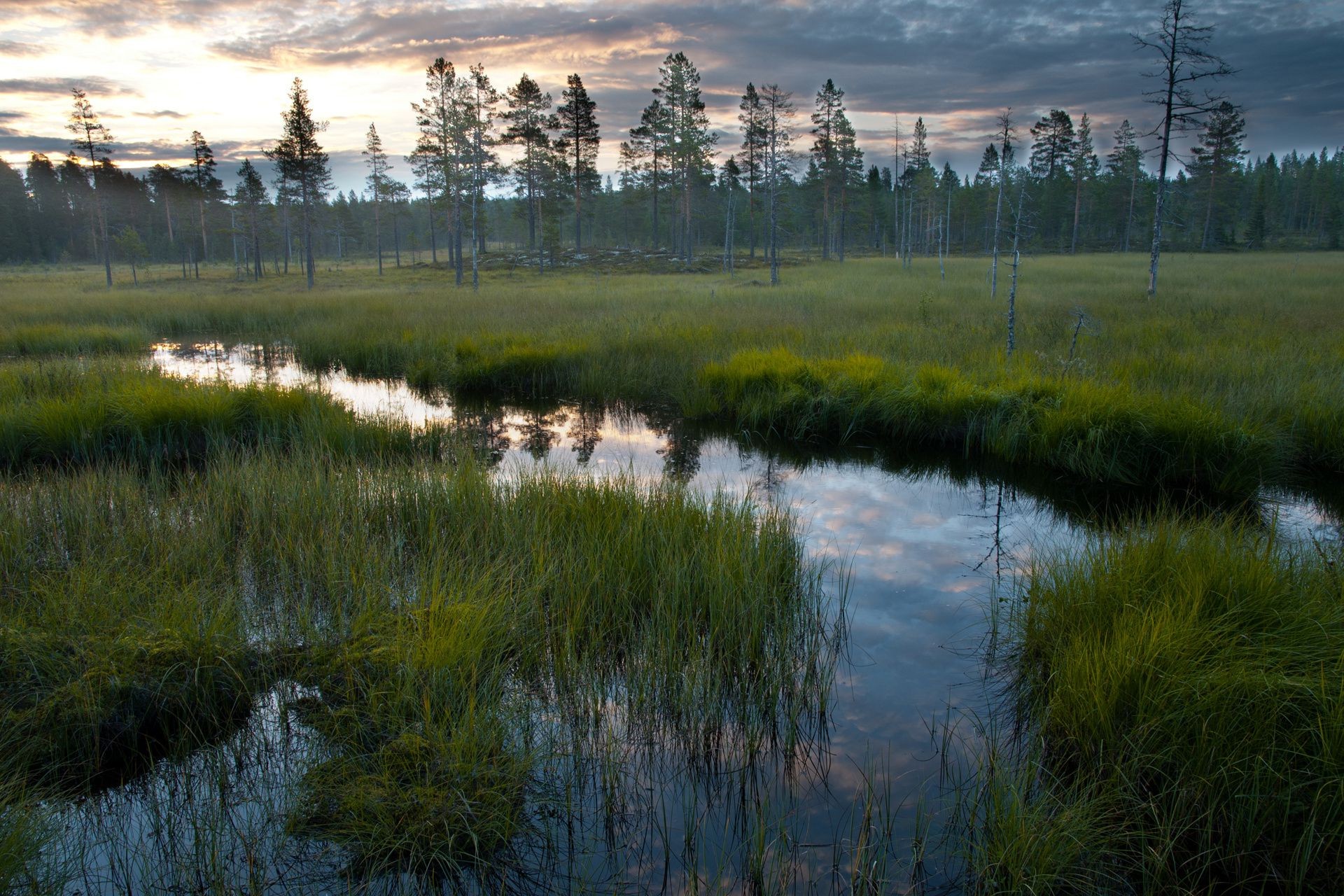 paysage réflexion eau lac paysage rivière nature à l extérieur mars herbe ciel arbre piscine voyage bois aube