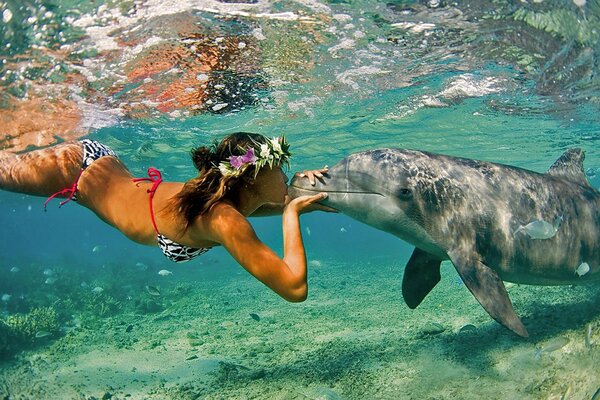 Ragazza Baciare un delfino sott acqua