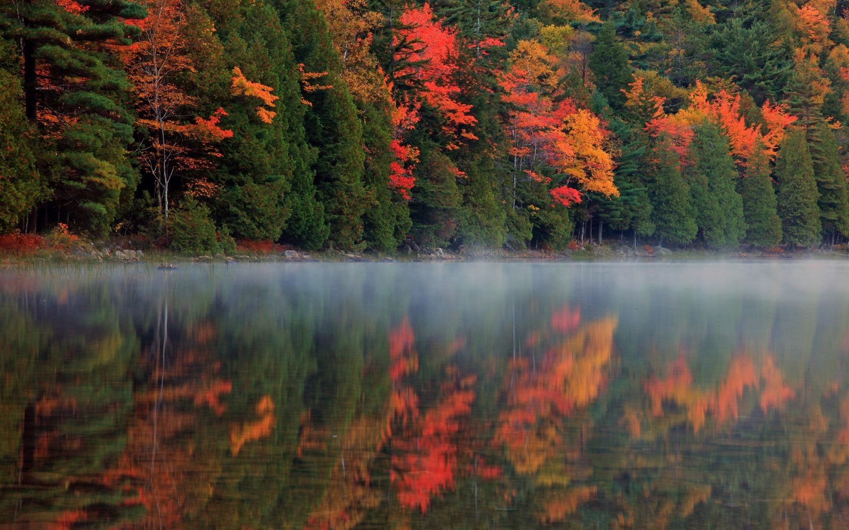 puesta de sol y amanecer otoño hoja al aire libre madera agua árbol lago naturaleza río paisaje arce escénico parque reflexión luz del día