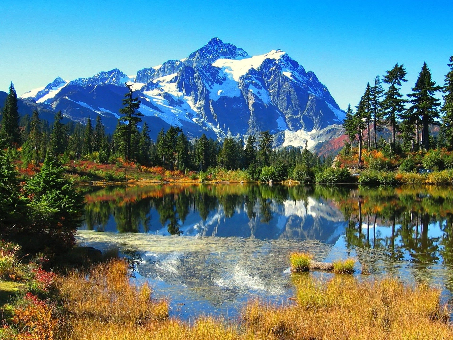 see berge reflexion wasser schnee landschaftlich holz natur wild landschaft im freien reisen evergreen