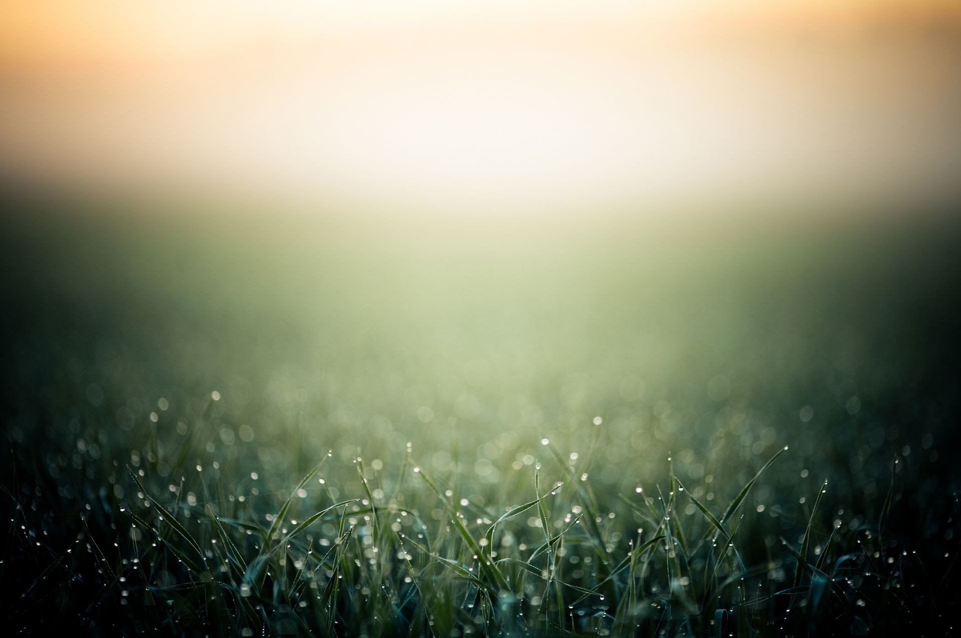 tröpfchen und wasser unschärfe sonne landschaft gras feld heuhaufen dämmerung licht abstrakt natur rasen regen gutes wetter dof garten nebel weiden sonnenuntergang flora umwelt