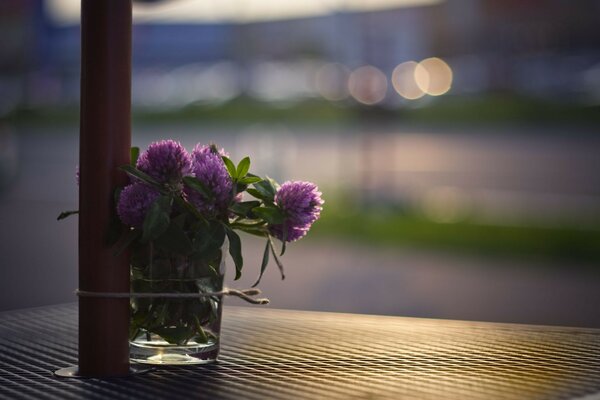 A lonely bouquet of wild flowers in a glass