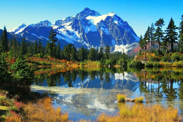 Montañas en un paisaje de otoño con pinos