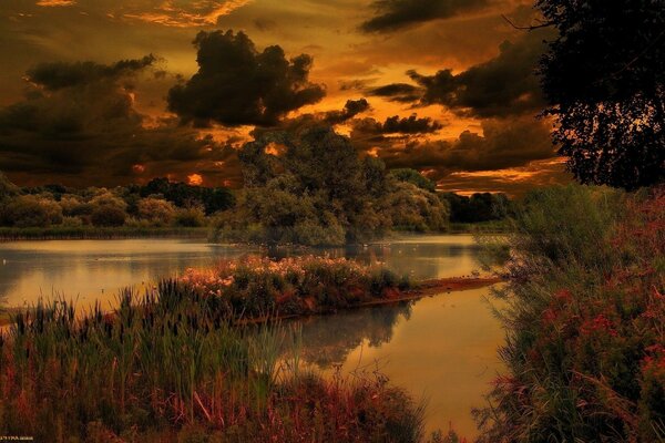 Puesta de sol de otoño en el lago entre los árboles