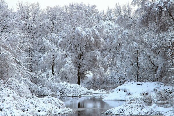 Winterwald und ein gefrorener Fluss