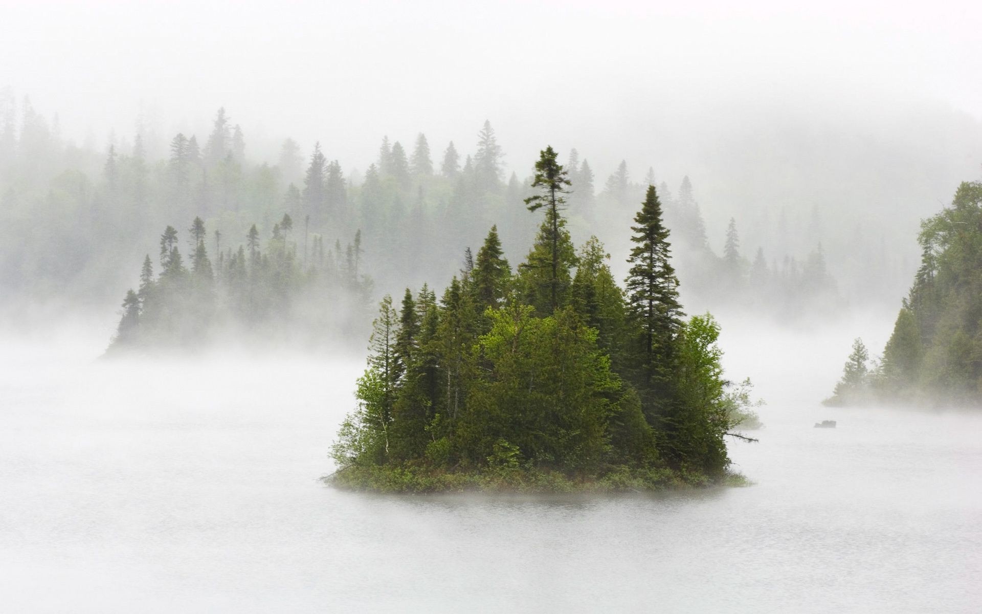 isole nebbia paesaggio legno nebbia natura albero neve inverno acqua all aperto