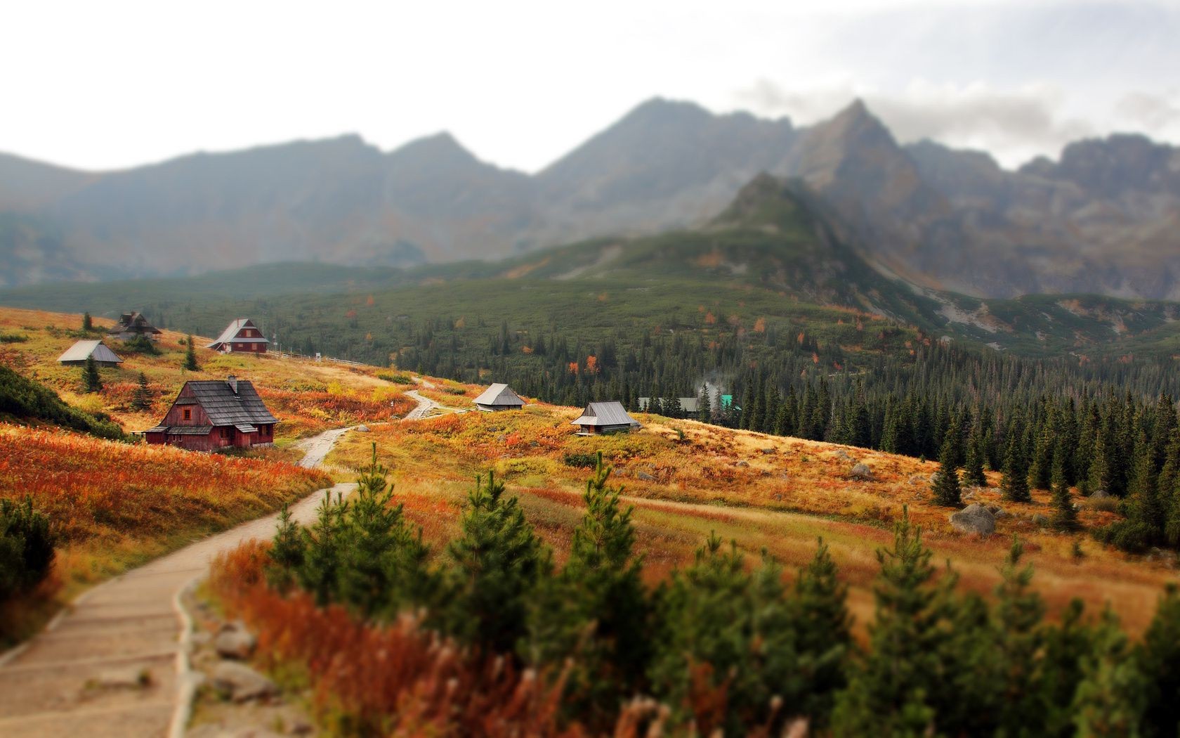 landscapes travel outdoors mountain nature landscape fall wood tree sky cropland scenic valley