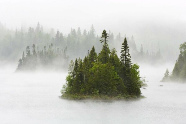 Foggy islands for unity with nature