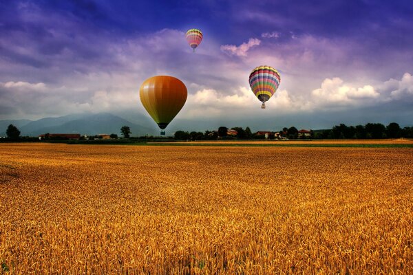 Luftballons fliegen über ein Weizenfeld