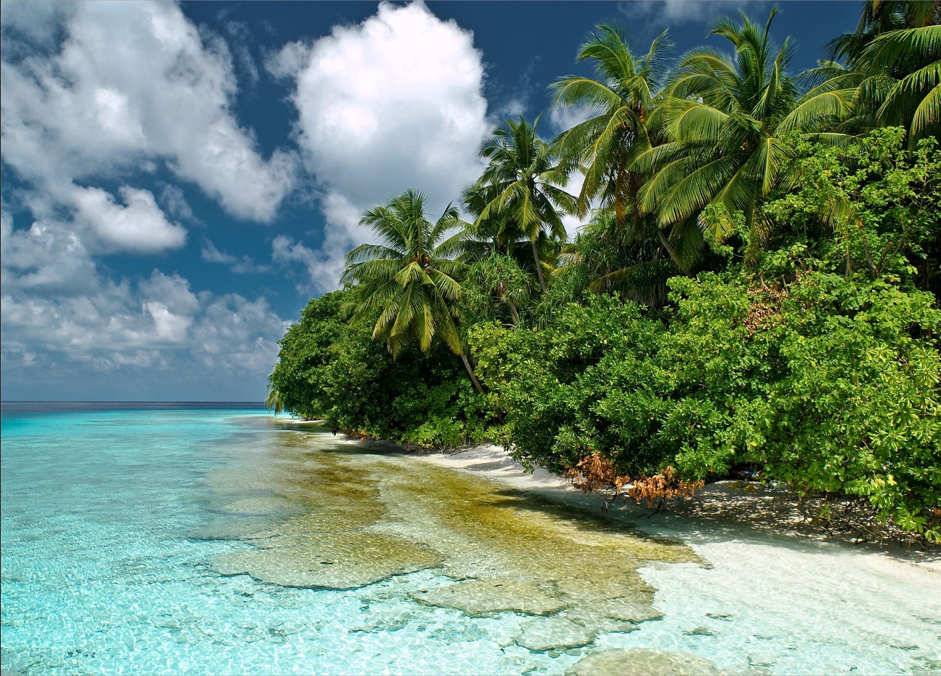 mar e oceano tropical água praia paraíso ilha paisagem exótico viagem idílio turquesa mar areia lagoa oceano férias verão relaxamento palma árvore