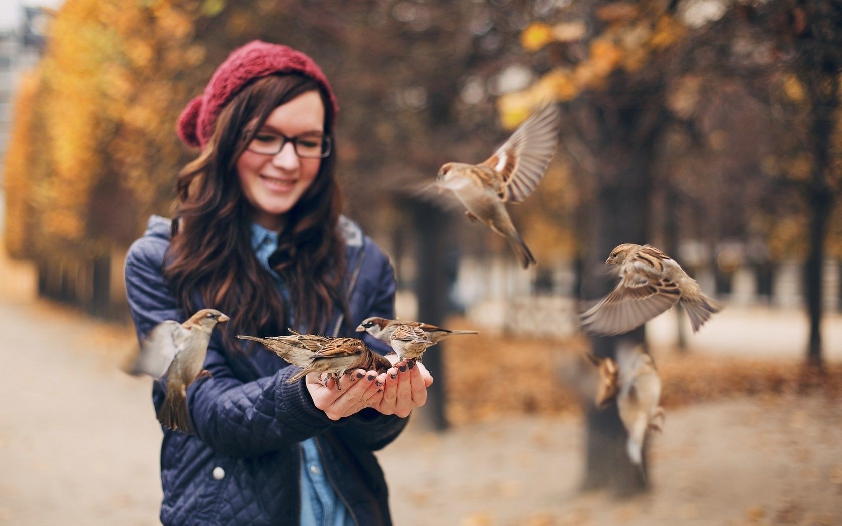 uomini donna adulto all aperto autunno natura inverno due uno ragazza uomo