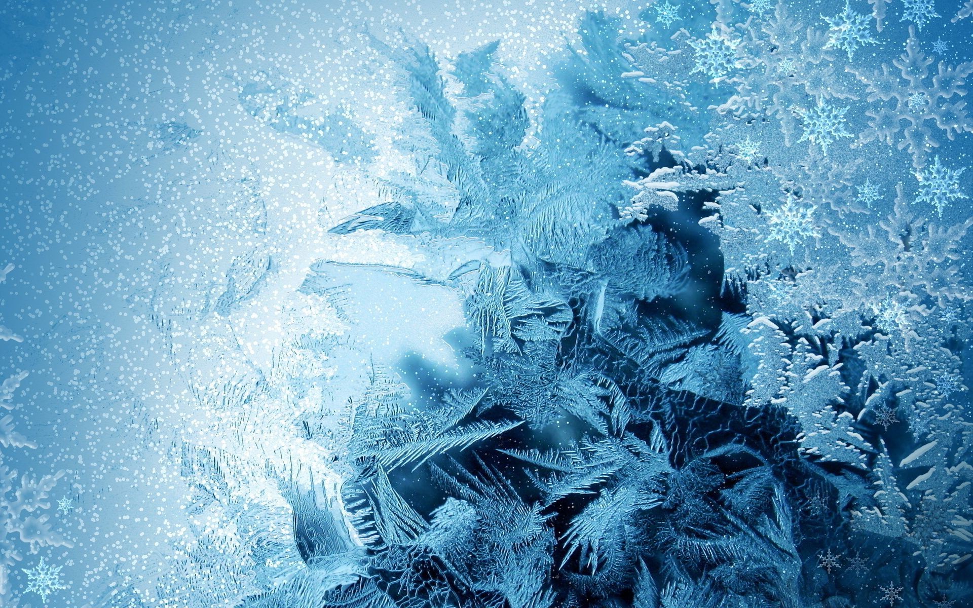 macro underwater water frost ocean nature desktop cold sea winter