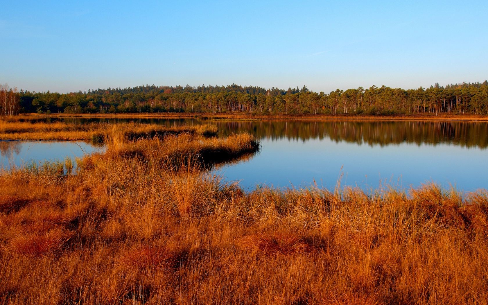 lake water reflection fall landscape nature river marsh outdoors dawn reed wood tree sky pool bog grass sunset swamp