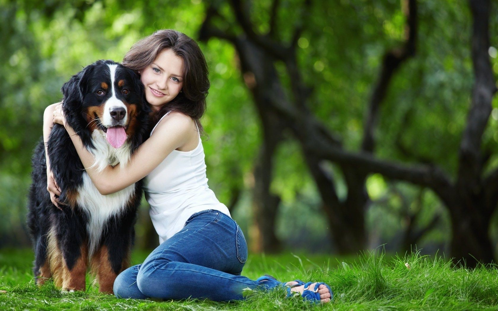 mit tieren gras natur im freien sommer park hund niedlich