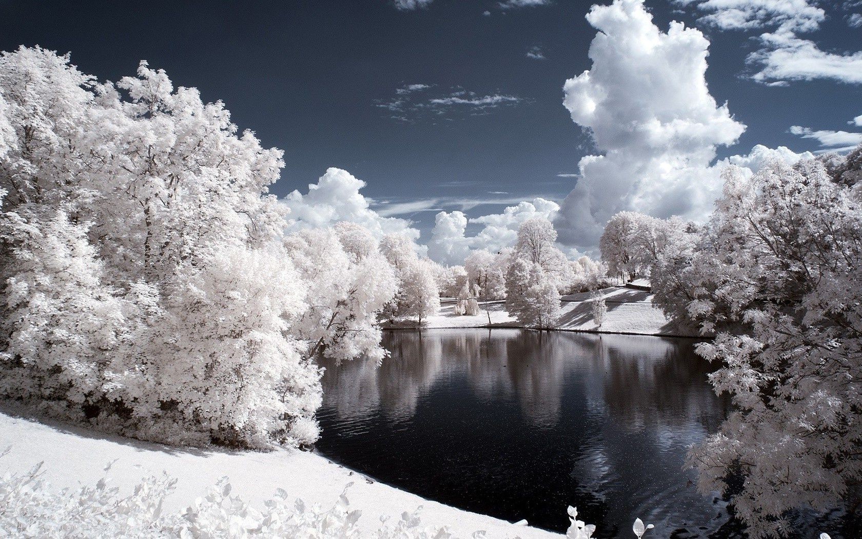 see schnee winter frost kälte gefroren eis landschaft infrarot baum saison wetter natur holz schnee-weiß eisig landschaftlich park