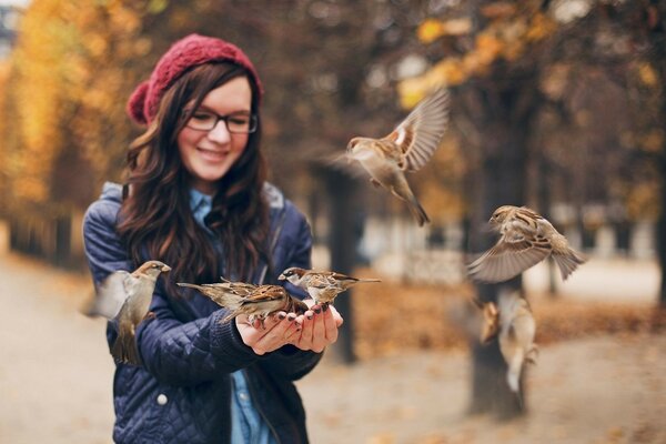 Alimentación de aves. Los gorriones comen con las manos