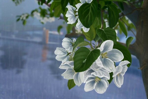 Zeichnen von weißen Blumen auf einem Baum