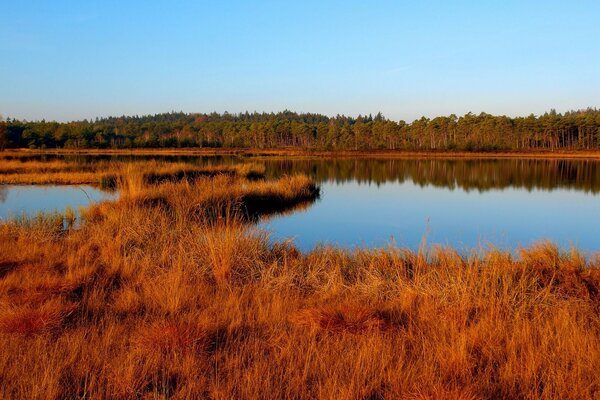 Herbstlandschaft des blauen Sees