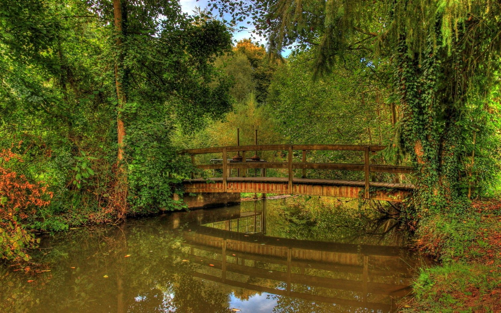 landschaft holz wasser holz natur fluss blatt brücke park reflexion landschaft schwimmbad see herbst reisen im freien sommer guide saison licht