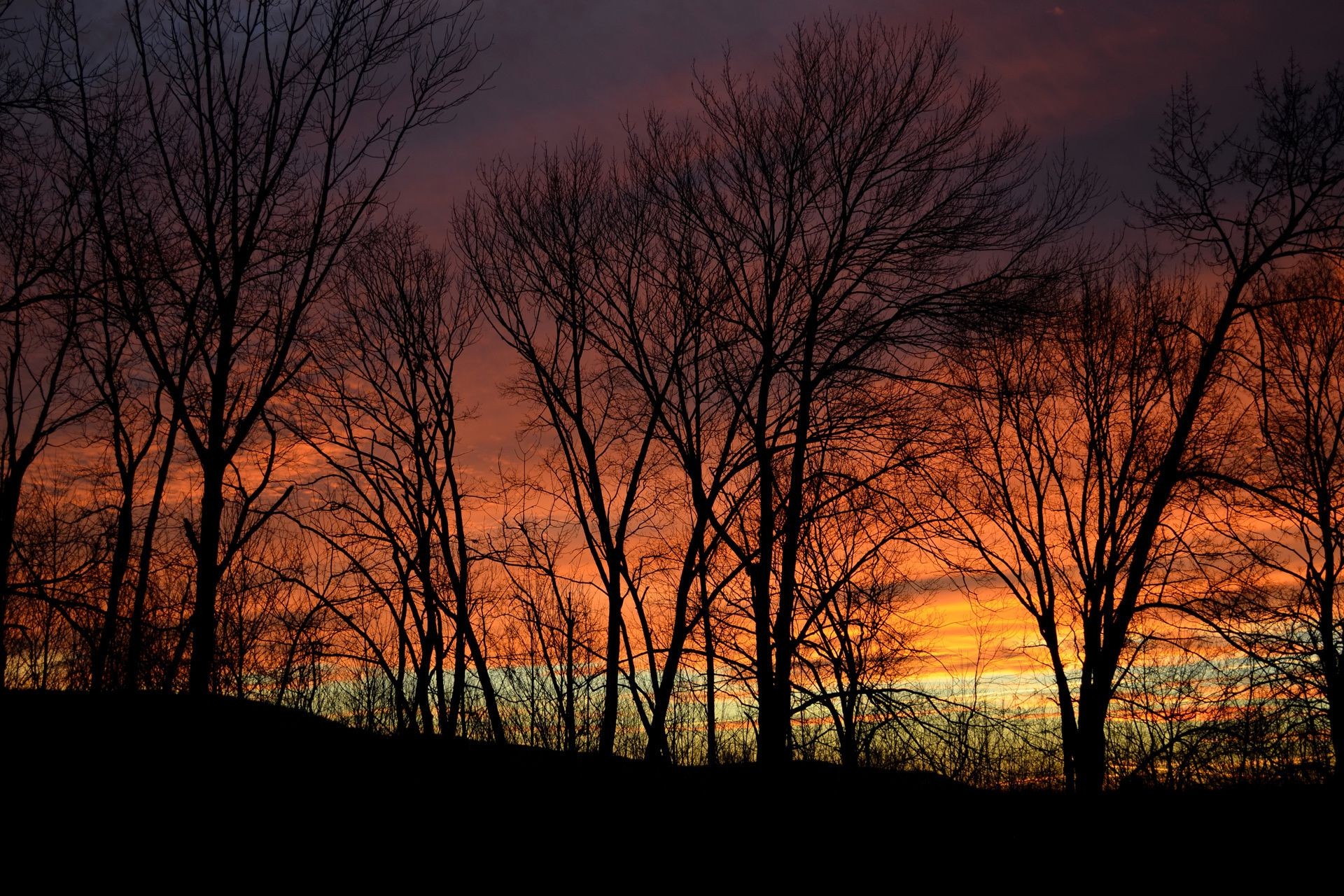 the sunset and sunrise dawn tree fall landscape fog nature sun mist sunset wood silhouette backlit fair weather