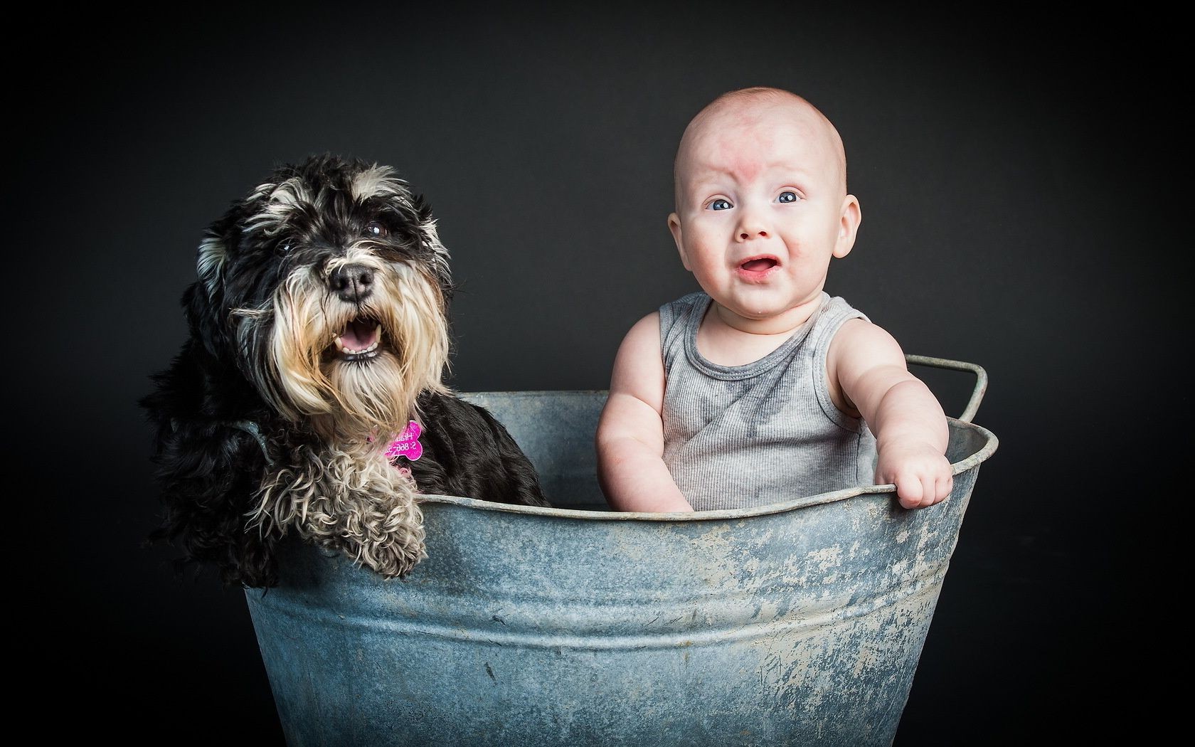 bambini con animali piccolo carino bambino uno divertente al coperto ritratto sedersi bambino cane animale domestico divertimento