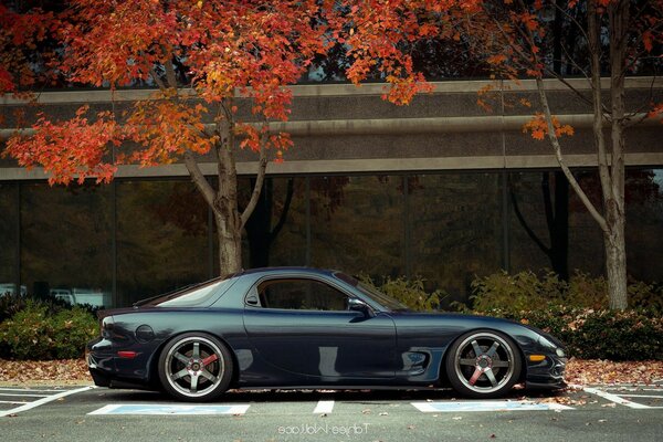 Black car on autumn background