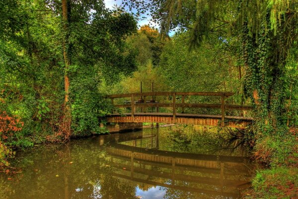 Quiet peaceful summer landscape