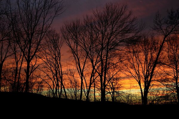 Puesta de sol de otoño en el borde del bosque