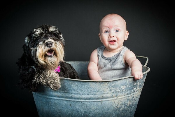 Amigos no derrames agua, bebé y perro