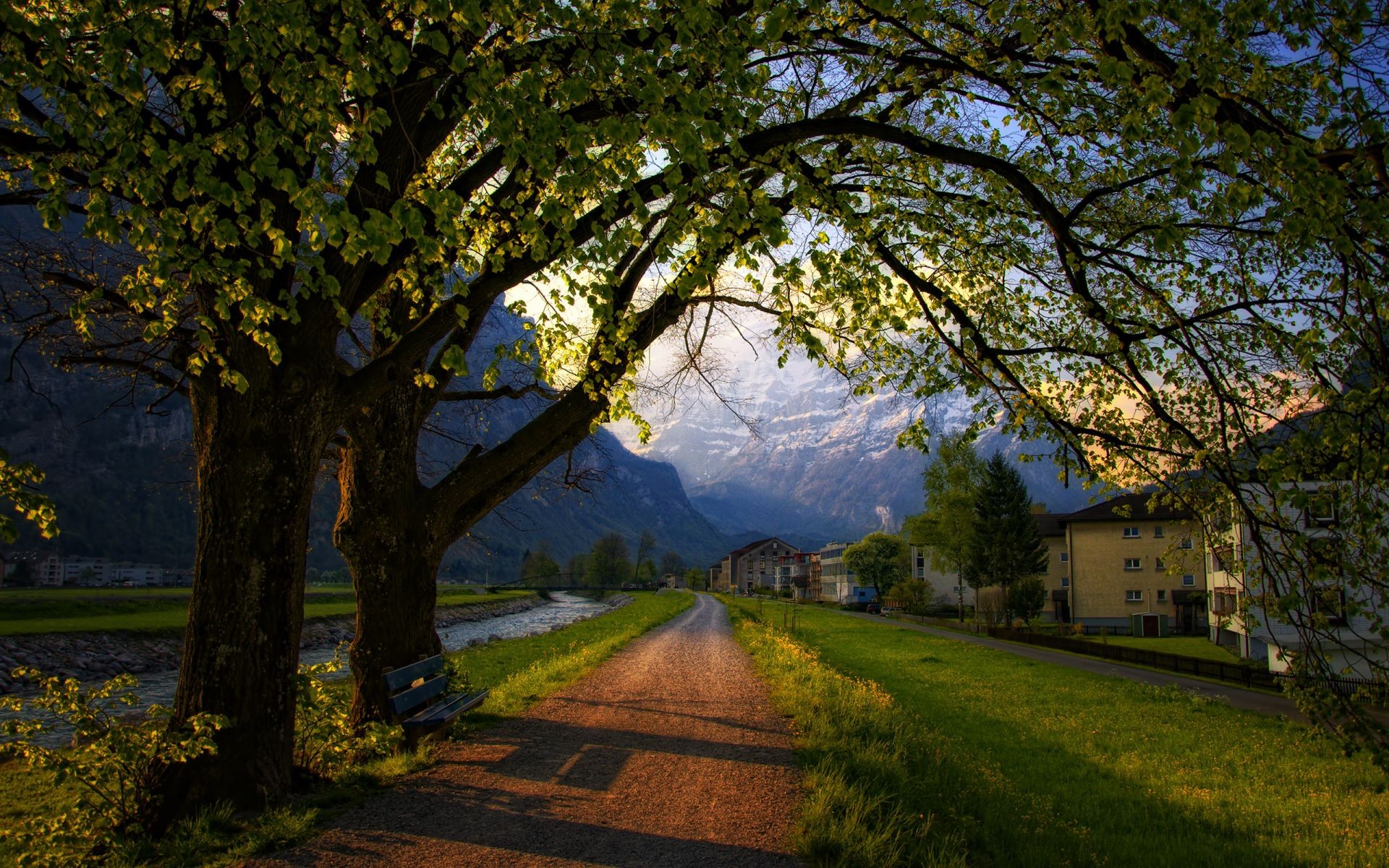 ciudad y arquitectura árbol paisaje otoño madera parque naturaleza hoja al aire libre escénico hierba carretera sol guía luz buen tiempo amanecer luz del día rama