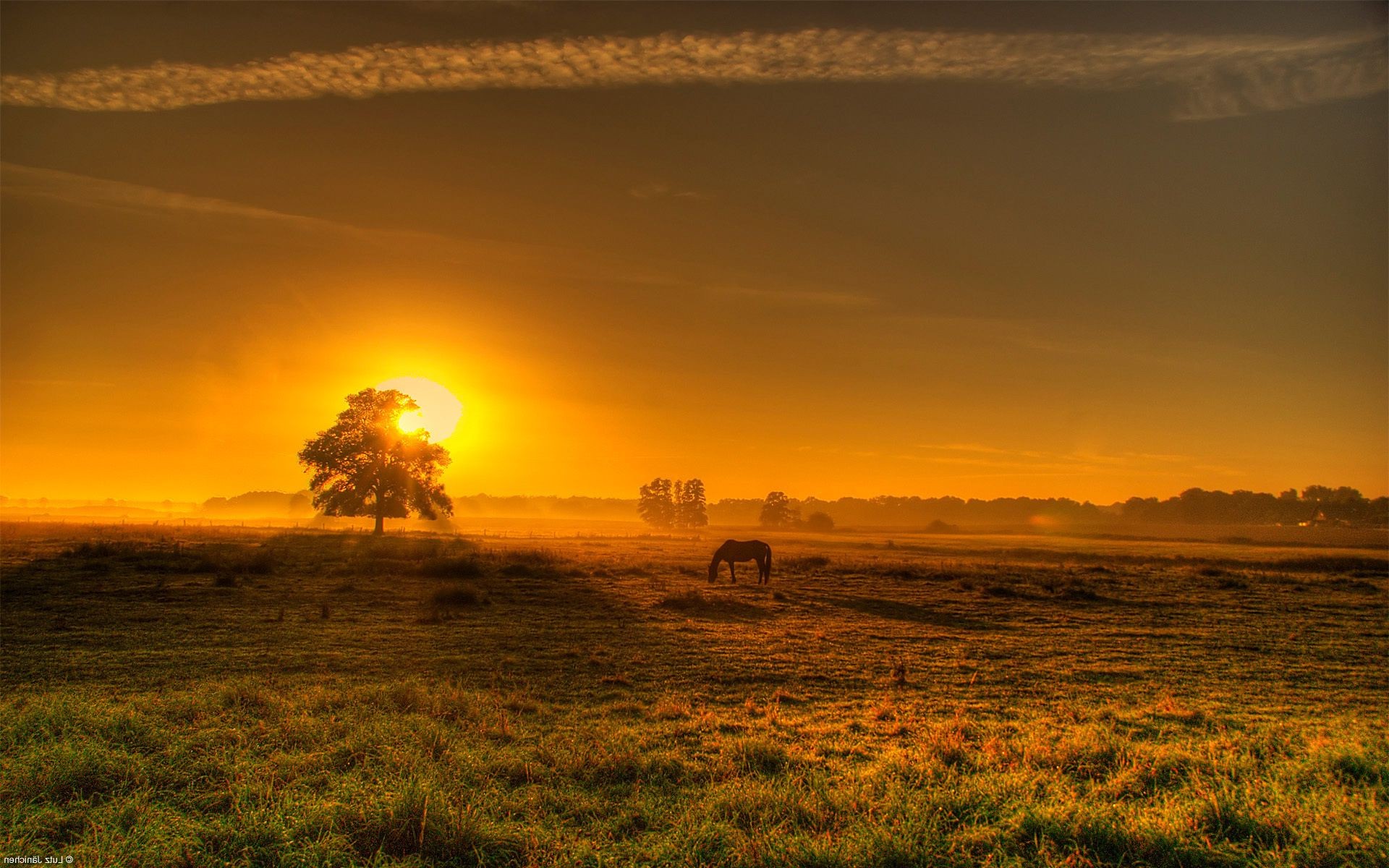 pôr do sol e amanhecer pôr do sol amanhecer sol paisagem noite crepúsculo céu natureza bom tempo ouro