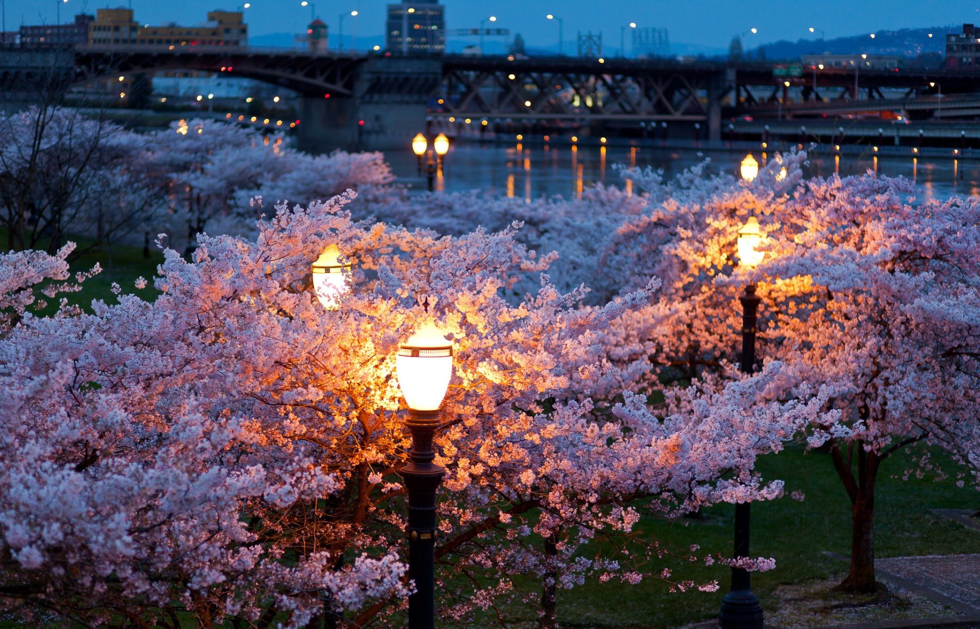 stadt baum blume im freien jahreszeit natur licht himmel reisen landschaft park architektur