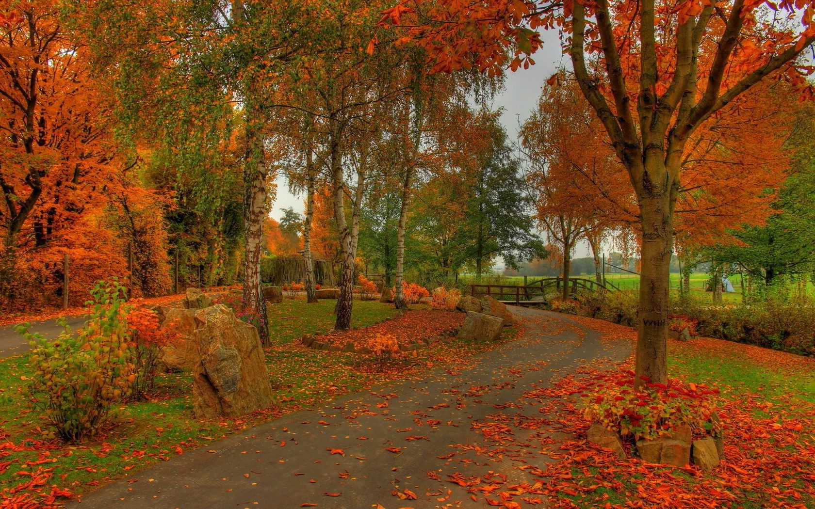 autumn fall leaf tree landscape park nature maple outdoors wood scenic season daylight lush fair weather countryside