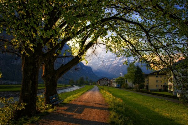 Road, trees, houses and mountains