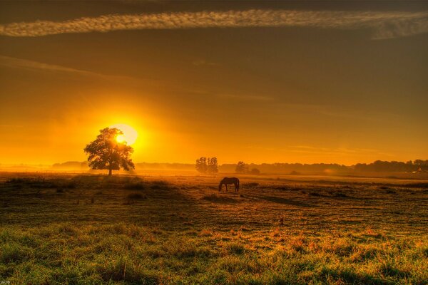 Sunset and sunrise landscape