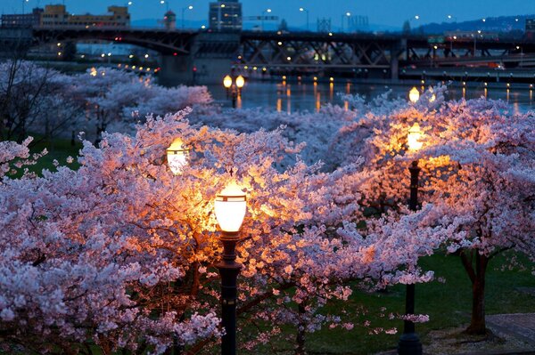 Stunning twilight of the ancient city at night