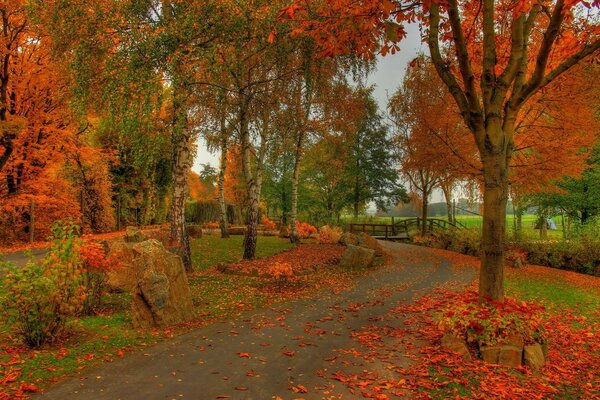 Caída de hojas de otoño en el parque rural